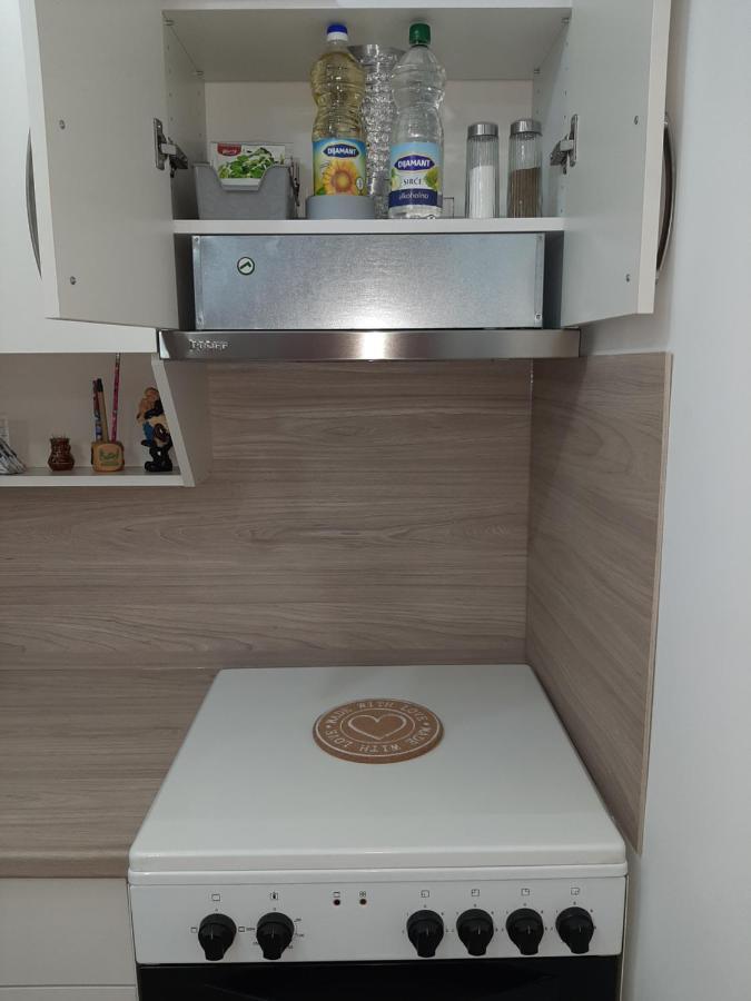 Apartman Viaggio 斯雷姆斯卡米特罗维察 外观 照片